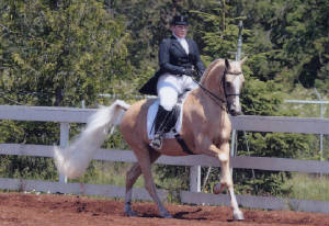 Piney Wood Arabians