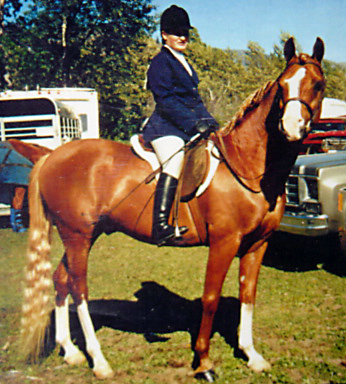  Piney Wood Arabians